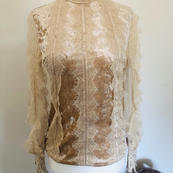 Ruffled Velvet Blouse - Picture 7 of 7